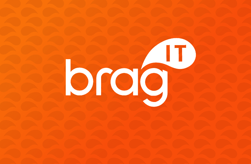 Bragit - Generador de CV's